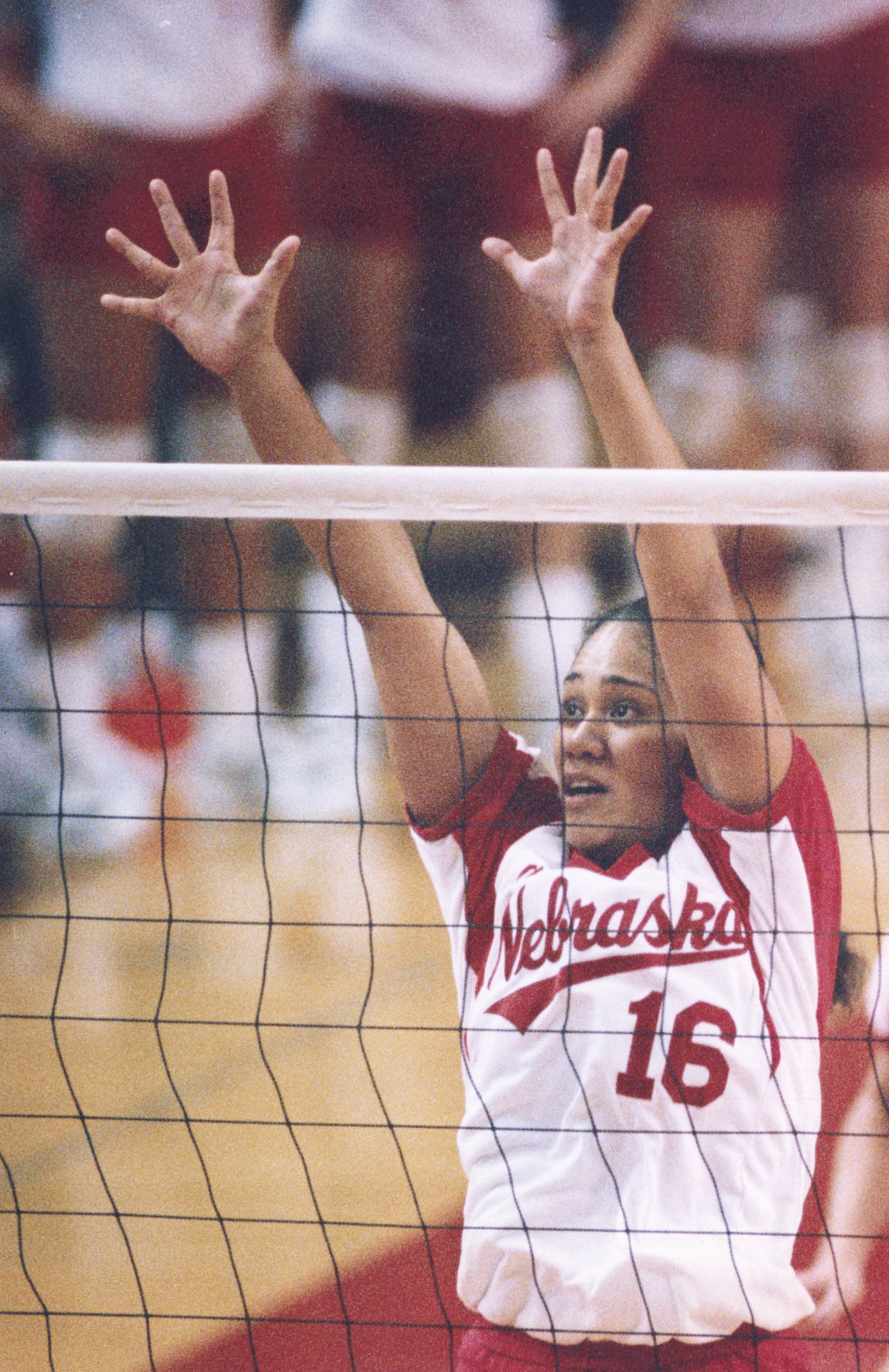 NU Women's Volleyball